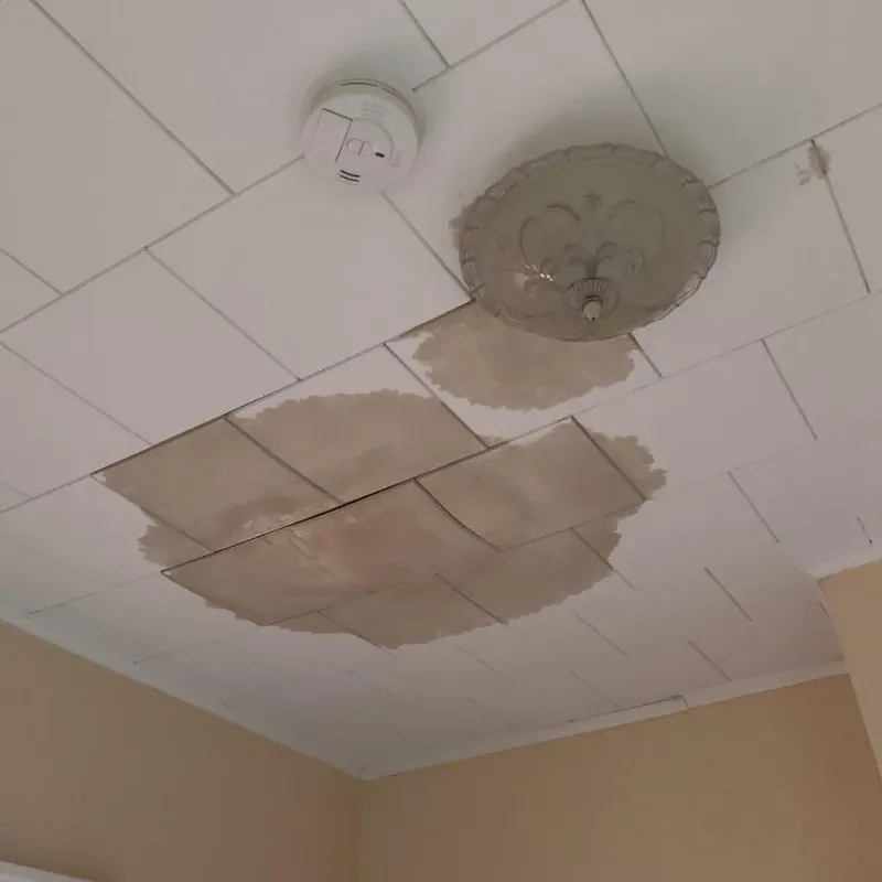 Ceiling Water Damage Repair in Hall Park, OK
