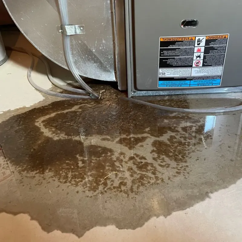 Pipe Burst and Leak Restoration in Hall Park, OK