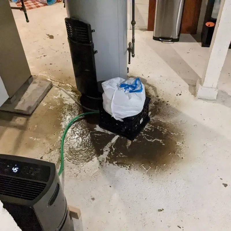 Sewage Backup Cleanup Service in Hall Park, OK